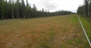 Lot 14 Timber Trail North Pole, AK 99705 - Image 3955941