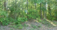 Lot 8 Thompson Ridge Road Alexander City, AL 35010 - Image 3956248