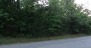 Lot 30 Beltline Road Bull Shoals, AR 72619 - Image 4053886