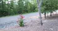 10 Herradura Lane Hot Springs Village, AR 71909 - Image 4074677