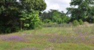 TBD Hwy 84 (appr 2 acres) Level Plains, AL 36322 - Image 4086321