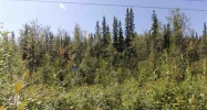 2900 Max Loop North Pole, AK 99705 - Image 4111628