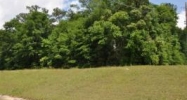 TBD Hwy 84 (Apprx 1 acre) Level Plains, AL 36322 - Image 4111783