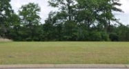 TBD Hwy 84 (1 Acre) Level Plains, AL 36322 - Image 4111784