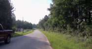 Lot 3 Lee Road 249 Salem, AL 36874 - Image 4133447