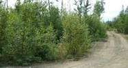 14444 W Siesta Big Lake, AK 99652 - Image 4171268