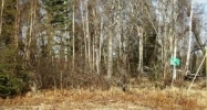 5453 S Kenaka Bena Loop Big Lake, AK 99652 - Image 4171272