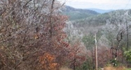 6 Falcon Ridge Trail Hot Springs Village, AR 71909 - Image 4196953