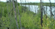 568 Loon Boulevard Big Lake, AK 99652 - Image 4200312