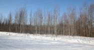 13653 W Klutina Drive Big Lake, AK 99652 - Image 4200320