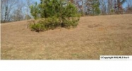 Lot 10 Chula Vista Ridge Drive Decatur, AL 35603 - Image 4206615