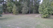 Lot 43 ISLAND CREEK DR Seale, AL 36875 - Image 4238505