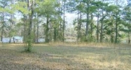 Lot 6 W T White Subdivision Abbeville, AL 36310 - Image 4268860