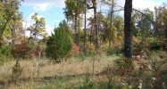 Lot 36 Oak Creek Drive Dr Gepp, AR 72538 - Image 4287381