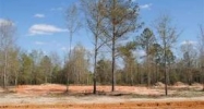 Lot 3 County Road 539 Enterprise, AL 36330 - Image 4316546