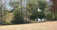 LOT 11 LAKE NICHOLS Enterprise, AL 36330 - Image 4316555