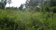 LOT 2 CAIN CREEK Sylacauga, AL 35151 - Image 4356687