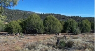 Lot 103 S. Palomino Place Payson, AZ 85541 - Image 4371738