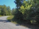 Lot 28 County Road 1084 Midway, AR 72651 - Image 4602582