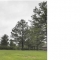 1 Mullis Creek Dr. Pike Road, AL 36064 - Image 4699099