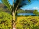 5081 Weke Road Hanalei, HI 96714 - Image 4751128