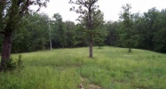 Lot 1 Homestead Lane Lead Hill, AR 72644 - Image 4800611