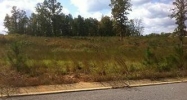 Belle Meade Cir Lot 3 Northport, AL 35475 - Image 4861127