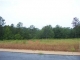 Well Creek Ln Lot 27 Ralph, AL 35480 - Image 4903283