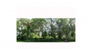 FORESTWOOD DR Lakeland, FL 33811 - Image 4921644