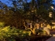 3104 BEECHWOOD LANE Falls Church, VA 22042 - Image 5425863