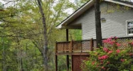 45 Sun Valley Dr Mineral Bluff, GA 30559 - Image 5474378