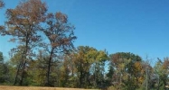 Lot 58 Worth/Milan Benton, AR 72019 - Image 5495399