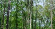 Lot 16 West Shores Benton, AR 72019 - Image 5495402