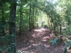 49 Acres Strawberry River Rd Smithville, AR 72466 - Image 5522192