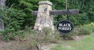 500 Blacks Cabin Way Dallas, GA 30132 - Image 5595608