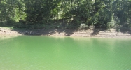 CO RD 890 Crane Hill, AL 35053 - Image 5706179