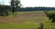 1539 Bear Creek Lot 11 Road Moreland, GA 30259 - Image 5779487