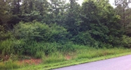 0 Carters Road Chatsworth, GA 30705 - Image 5857305