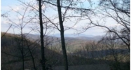 3023 Wild Turkey Bluff Jasper, GA 30143 - Image 6037871