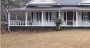 Ne 20Th St Oneonta, AL 35121 - Image 6155906