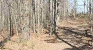 17.55 Acres Dawson Road Harrisburg, AR 72432 - Image 6202228