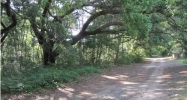 0 SLIM RD Wadmalaw Island, SC 29487 - Image 6318733