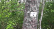 Lot 4 Lake Point Drive Calico Rock, AR 72519 - Image 6393115