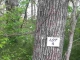 Lot 4 Lake Point Drive Calico Rock, AR 72519 - Image 6399012