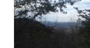 3094 Acres Clearview Drive Talking Rock, GA 30175 - Image 6409247