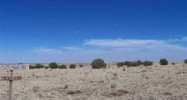 Lot 20 Buckskin Lane Concho, AZ 85924 - Image 6429846