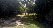 3437 MAR LISA COVE RD Lake Wales, FL 33898 - Image 6440440