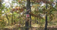 Lot 18 Rustic Ridge Drive Dr Mountain Home, AR 72653 - Image 6579048