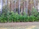 Lot 6 Landing Road (Apn# 7336.01.47 Gloucester, NC 28528 - Image 6657562