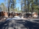 6870 White Oak Rd Pinetop, AZ 85935 - Image 6710561